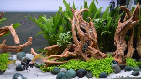 Hvordan lage en hage for et akvarium med egne hender?
