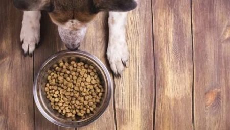 Krmivo s nízkým obsahem bílkovin pro psy