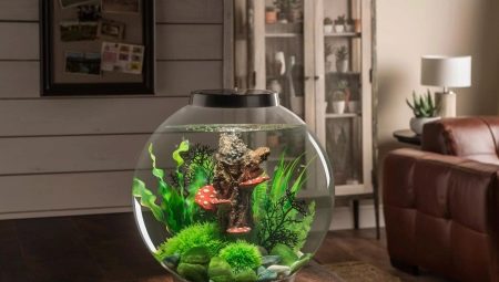 Okrugli akvariji: veličine, izbor i dizajn