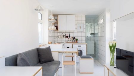Mini stüdyo daire için mutfak: iç tasarım fikirleri