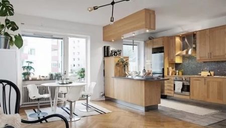 Kitchen-studio: layout and design options