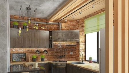 Petites cuisines de style loft