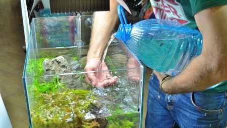 Canviar l'aigua de l'aquari