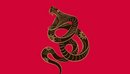 Omul șarpe: caracteristici și compatibilitate