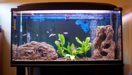 Decorating an aquarium with a capacity of 200 liters