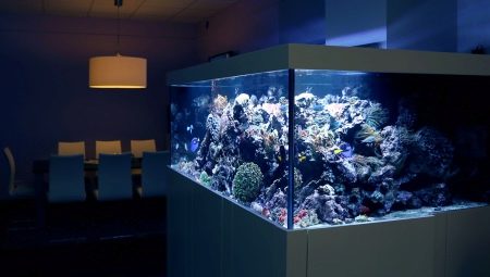 Mengapa akuarium tidak bisa diisi dengan air matang dingin?
