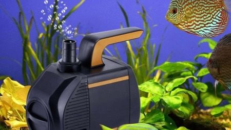 Pumpen für ein Aquarium: Zweck und Typen, Auswahl und Installation