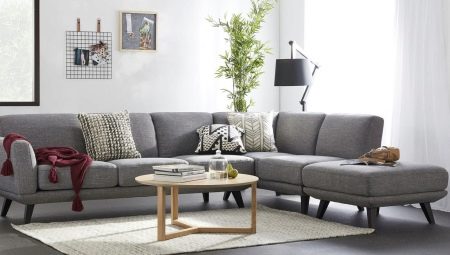 Graues Sofa im Wohnzimmerinnenraum: Typen, was kombinieren und wie wählen?