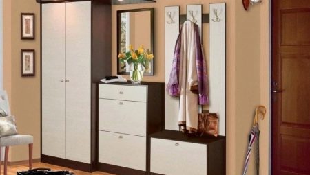 Tủ quần áo ở hành lang: thiết kế, các loại và lựa chọn