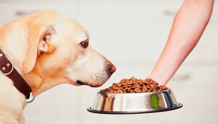 Cik daudz sausās barības vajadzētu dot sunim dienā?