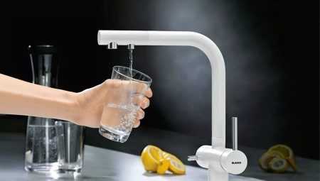 Küchenarmaturen mit Wasserfilter: Beschreibung, Typen und Auswahl