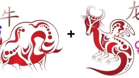 Ox and Dragon-compatibiliteit in vriendschap, werk en liefde