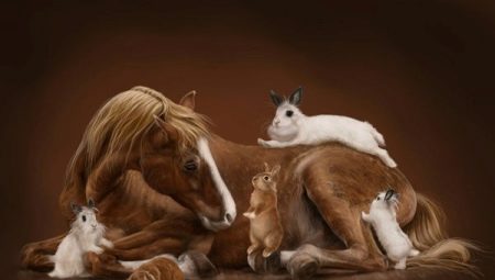Kompatibilita koňa a králika (mačky).