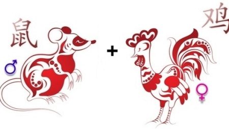Rooster at Rat compatibility sa Eastern calendar