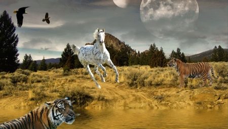 Vereinbarkeit von Tiger und Pferd in Freundschaft, Arbeit und Liebe