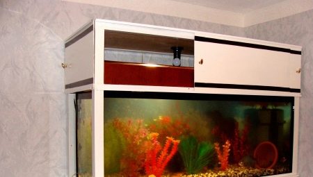 Aquariumrekken: selectie en creatie