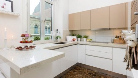 Vieglas darba virsmas virtuvē: pārskats par veidiem un skaistiem piemēriem