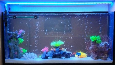 Akváriumi LED szalag: tippek a kiválasztásához és elhelyezéséhez