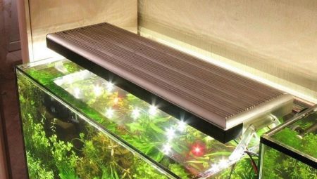LED lights for aquarium: features, selection and application