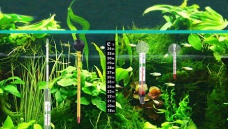 Термометри за аквариум: какви са те и как да изберем?