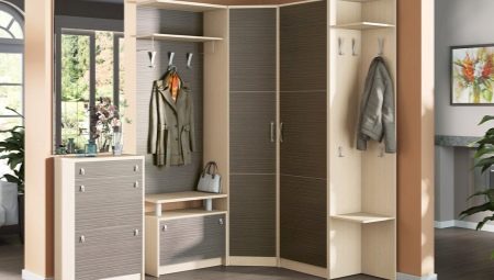 Tủ quần áo hẹp trong hành lang: loại, kích thước và lựa chọn