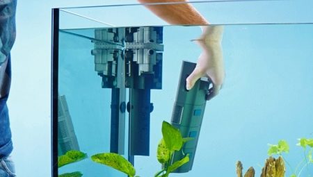Unutarnji filteri za akvarij: opis, odabir i ugradnja