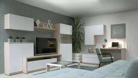 Weiße Wand im Wohnzimmer: Funktionen, Sorten, Auswahlmöglichkeiten, Beispiele
