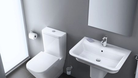 Spülrandlose Stand-WCs: Gerät, Vor- und Nachteile, Auswahl