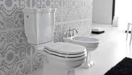 Vilket är bättre för toaletten: porslin eller fajans?