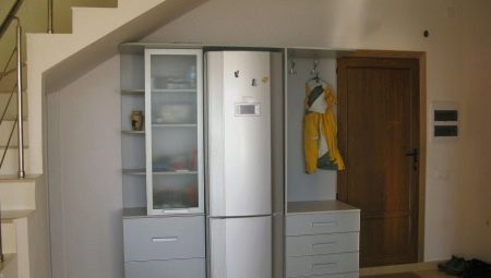Refrigerator sa pasilyo: mga kalamangan at kahinaan, mga pagpipilian sa lokasyon, mga halimbawa