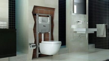 Installation for the toilet: description, types and selection