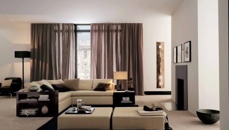 Ruskeat verhot olohuoneessa (26 kuvaa): tummanruskeat ja vaaleanruskeat  verhot aulan sisätiloissa. Mielenkiintoisia yhdistelmiä