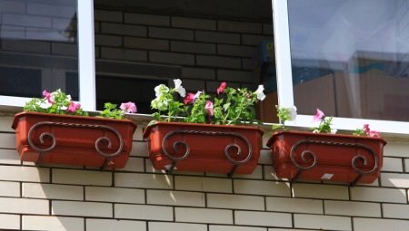 Balkonu kastīšu kronšteini: šķirnes un ieteikumi