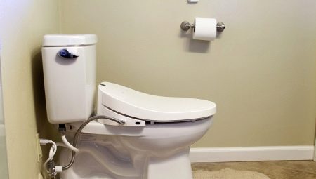 Penutup bidet tandas: jenis, jenama, pemilihan dan pemasangan