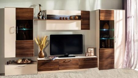 Paredes modulares en la sala de estar: tipos y opciones.