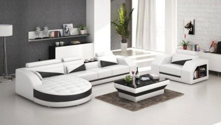 Muebles tapizados para la sala de estar: variedades, opciones y opciones en el interior.