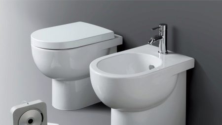 Připojené toalety: vlastnosti, typy a instalace