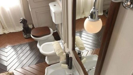Cuvettes de toilettes rétro: caractéristiques de style et examen des fabricants