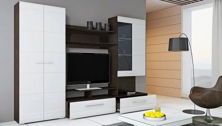 Dzīvojamās istabas siena: veidi, izvēles un iespējas interjerā