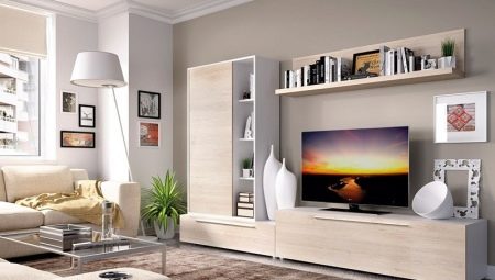 جدران التلفزيون في غرفة المعيشة: أصناف وتوصيات للاختيار
