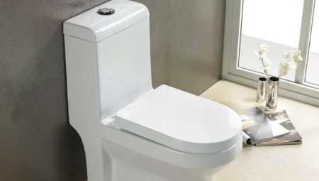 Monoblok toilet: funktioner og anbefalinger til valg