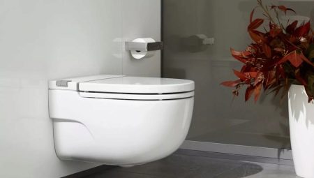 Toalettskålar utan cistern: för- och nackdelar, sorter, val