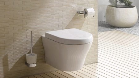 Vase de toaletă Toto: modele și caracteristicile acestora