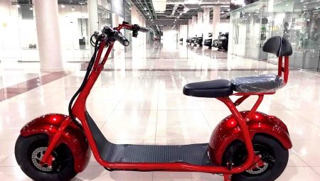 Paano pumili ng double electric scooter?