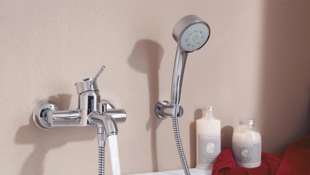Vòi phòng tắm: mô tả các loại, nhãn hiệu tốt nhất và bí quyết lựa chọn