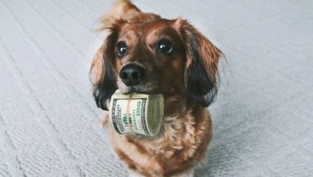 Daň pre domáce zvieratá v Rusku