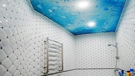 Plafonds suspendus dans la salle de bain: caractéristiques, variétés, design