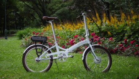 Сгъваеми велосипеди Shulz: състав и тънкости по избор