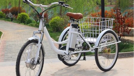 Tricikli za odrasle: vrste, prednosti i nedostaci