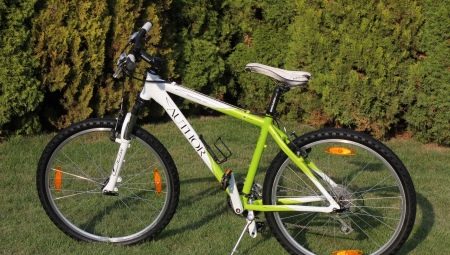 Bicicletas de autor: características del modelo y recomendaciones para elegir.